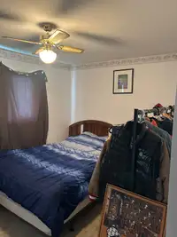 Bedroom for rent in a 3 bedroom house 