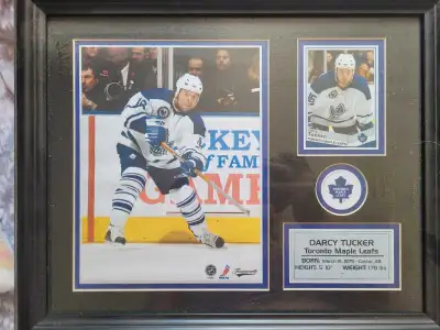 This framed Darcy Tucker Toronto Maple Leafs memorabilia is a great addition to any hockey fan's col...