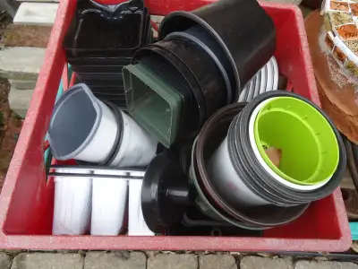 Free Nursery Pots, View more