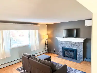 Rooms and studio available for rent