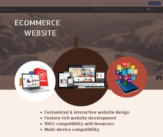 MOBILE APP DEVELOPMENT - WEB DESIGN - FLUTTER - WIX -WORDPRESS65253661171458120