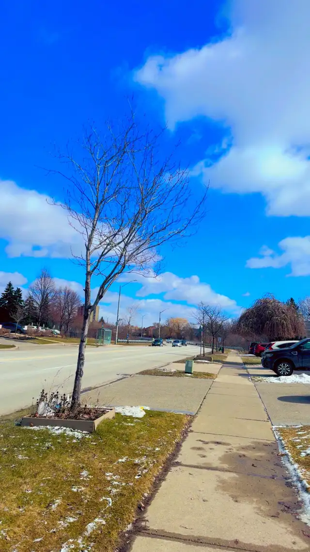 looking for job  in General Labour in Mississauga / Peel Region - Image 2