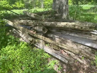 Cedar Rails, View more