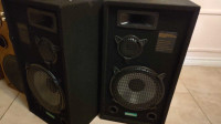 Pair of grafiole speakers 300W