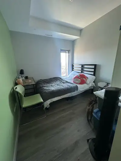 Room for rent