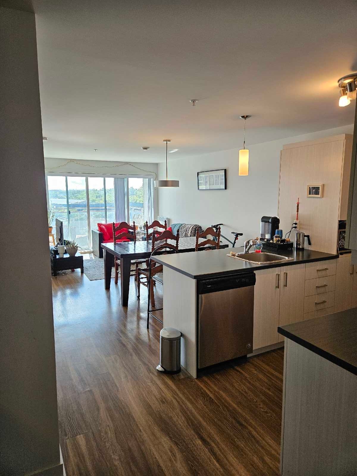 173 Blvd. Armand-Frappier — photo 1