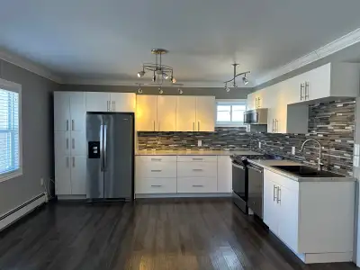 Large 3-bedroom luxury 1800sqft apartment for rent on a minimum 1-year lease. Fourth room can act as...