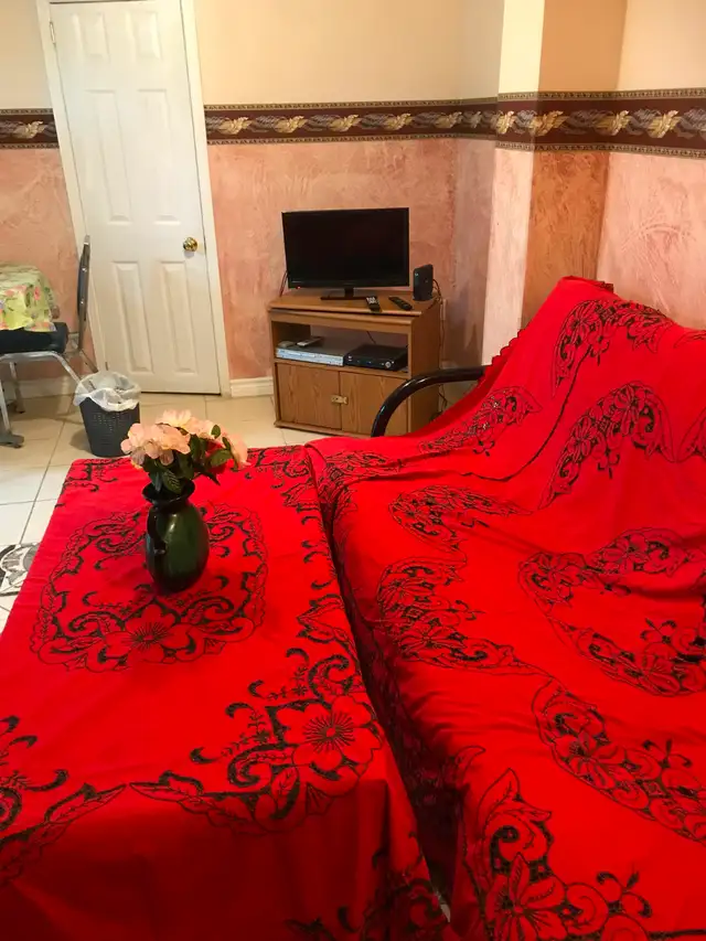 Gorgeous furnished one bedroom basement apartment in Brampton