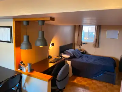 LARGE Basement Bachelor in Overbrook