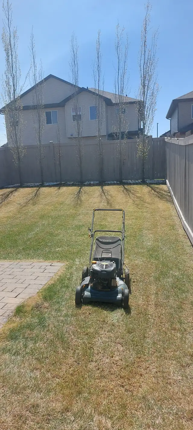 AFFORDABLE LAWN MOWING SERVICES628632476559371216