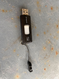 USB - Micro ScanDisk Cruzer 1GB (used)