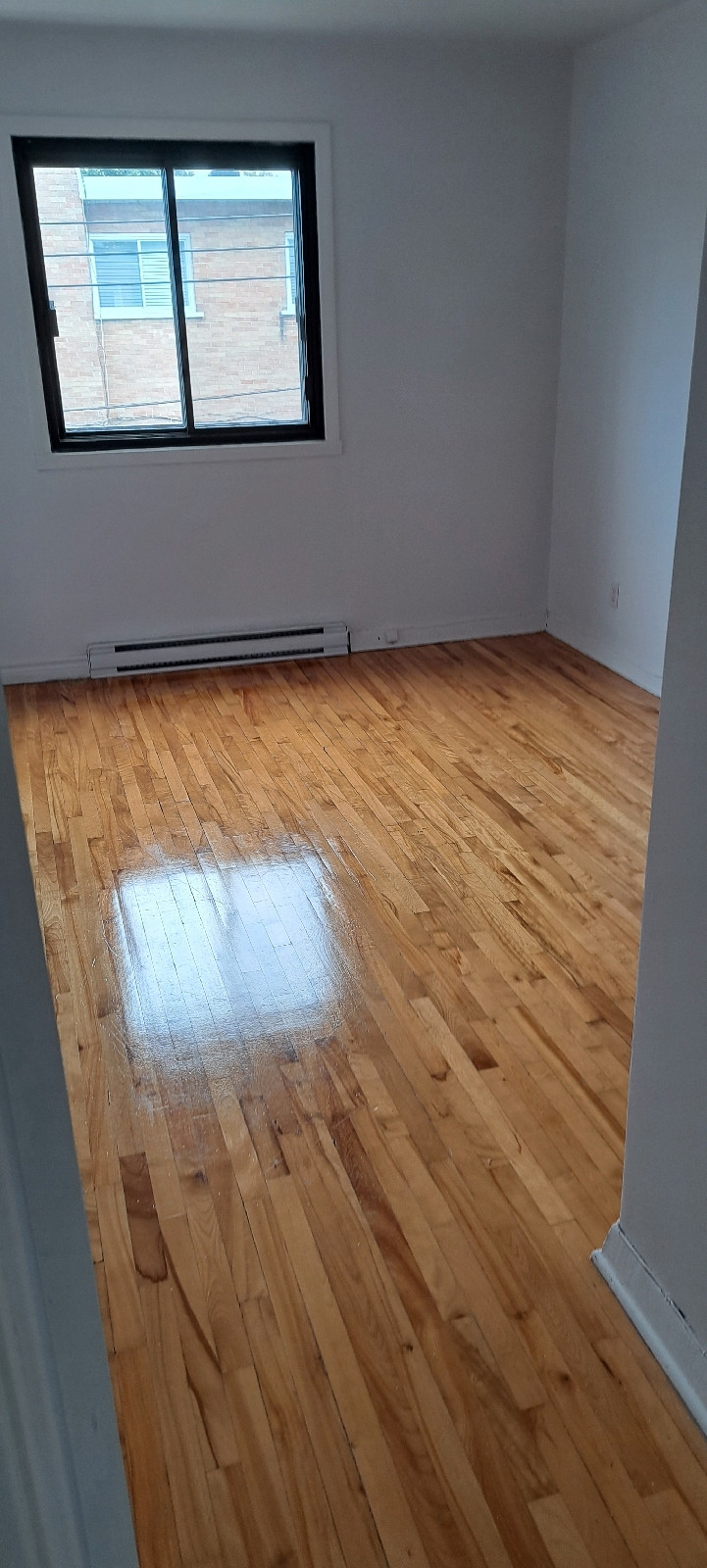 cherche coloc dans un 5½ à st leonard Chambres à louer et colocs