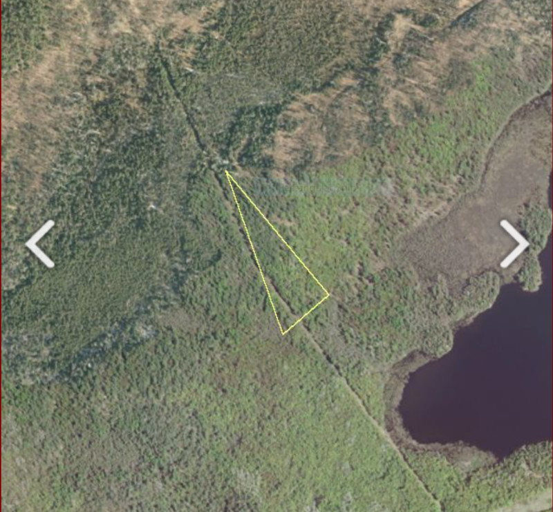 Five acres of forest land Land for Sale Ottawa Kijiji