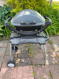 Weber electric grill