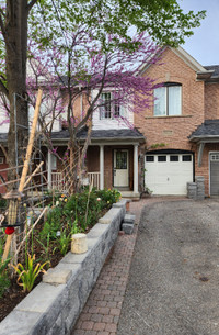 3 bed 4 bath TOWNHOUSE @ TENTH line and EGLINTON  MISS FOR RENT