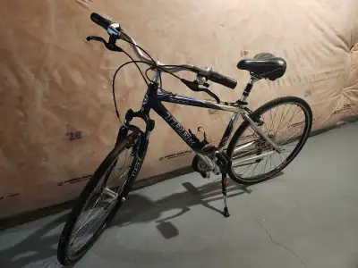 Trek bike as is Flat Tires