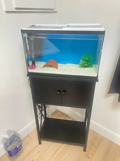 Aquarium 10 gallon , with stand great condontion, View more
