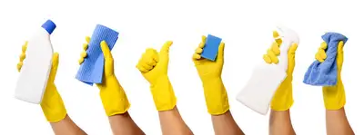 Experienced cleaning lady now accepting new clients :), View more