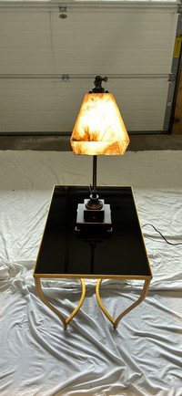 Stunning  Desk Lamp 
