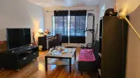 Apartment  sharing short term (furnished all included)