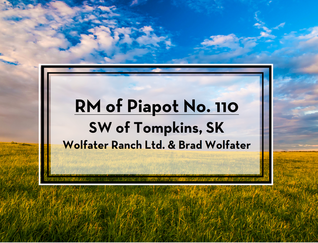 Lands for Sale by Tender | RM of Piapot #110 | SW of Tompkins