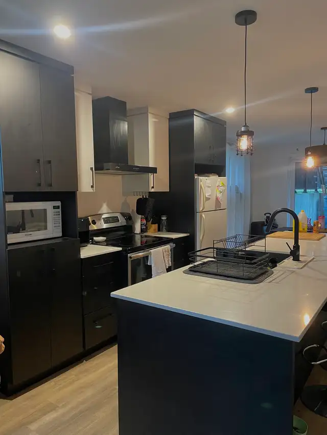 Chambre à louer  in Room Rentals & Roommates in Longueuil / South Shore - Image 6