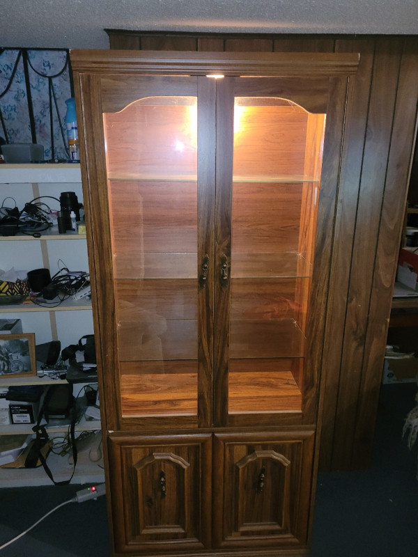 Chana cabinet with interior light in Hutches & Display Cabinets in Winnipeg - Image 2