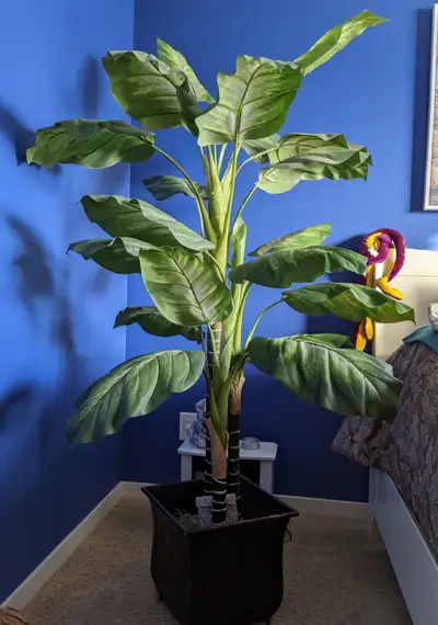ARTIFICIAL TREE / PLANT, View more