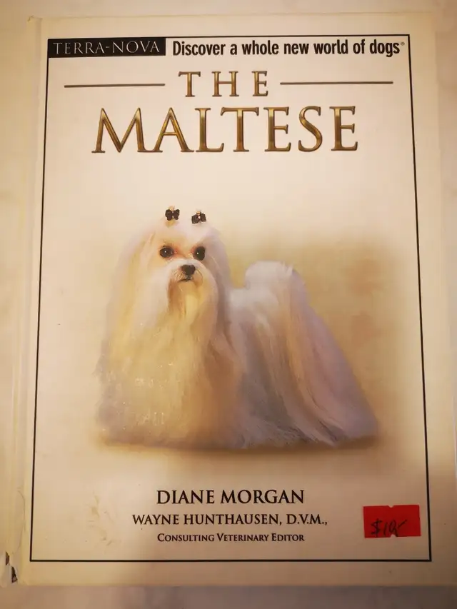 The Maltese64026026901889120