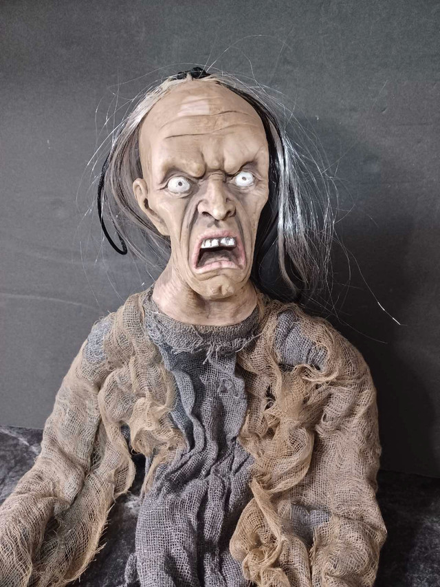Creepy hanging head in Holiday, Event & Seasonal in Barrie
