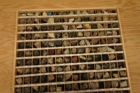 Large Categorized Rock Collection  (900+)