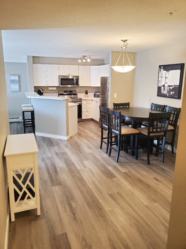 Newly Renovated 2 Bed + 1 Bath Condo UTILITIES INCLUDED Long Term