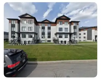 Jeune Homme gay non fumeur, tranquille, avec chienne (labrador) cherche co-loc (Gars ou Fille) pour...