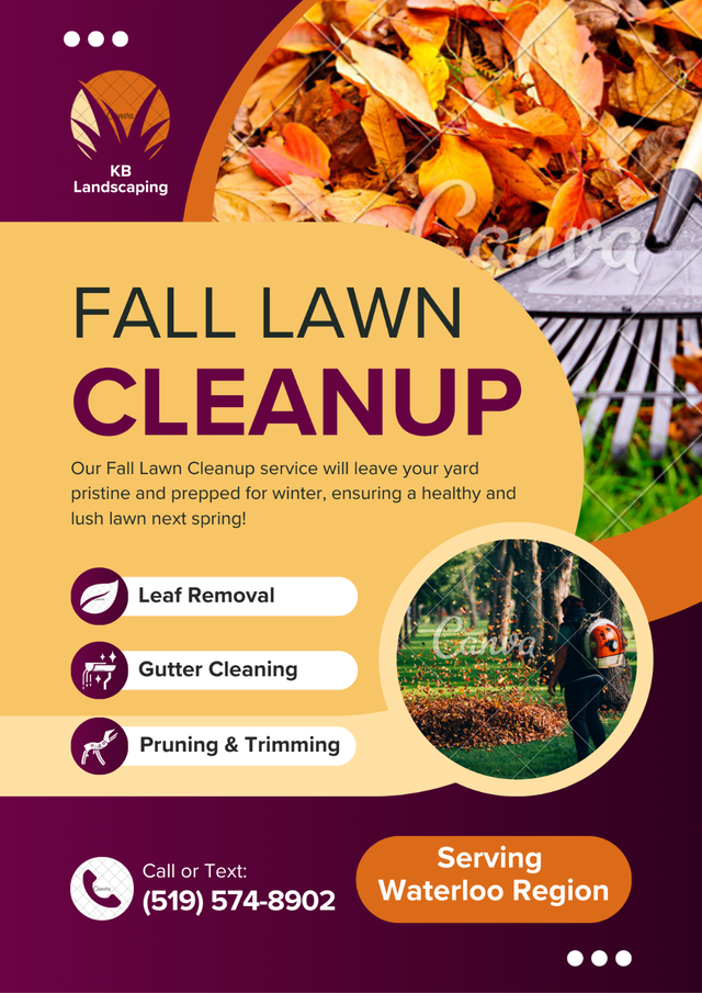 FALL LAWN CLEAN UP64519976349443120