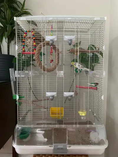 2 perruches et leur cage à vendre, View more