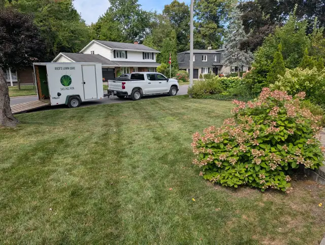 Rico's Lawn Care - Orleans #1 Lawn Mowing Services! in Lawn, Tree Maintenance & Eavestrough in Ottawa - Image 4