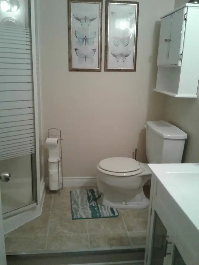 One Bedroom Basement Apartment Fully Furnished63735893892865123