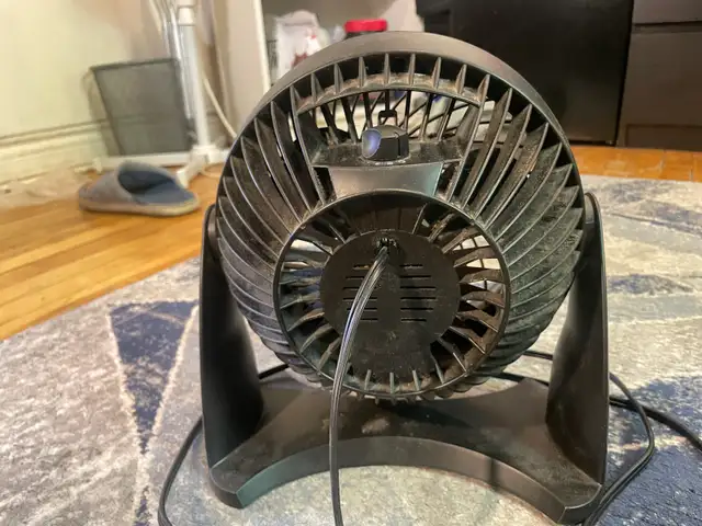 Mini fan483176467976704002