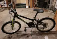 Used youth bicycle with 12 speed