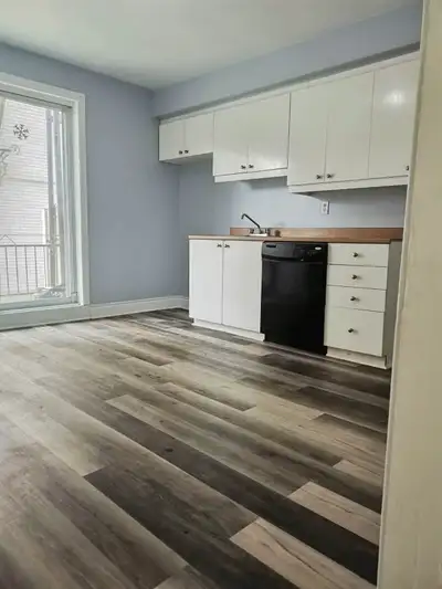 4 1/2 appartment a louer-Rosemont 30e