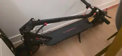 Gyrocopters Flash 3.0 Portable Electric Scooter