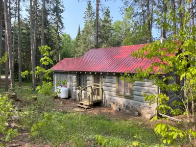 Beautiful, private, authentic log cabin in the woods, a short drive to Beaches, boat launches and tr...