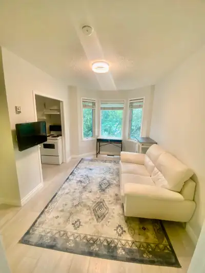 NAIT/Kingsway/ 1 BDR Furnished APT/Wifi