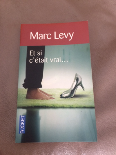 BON ROMAN NEUF DE MARC LEVY, ET SI C'ÉTAIT VRAI...251 PAG: $5.00, View more