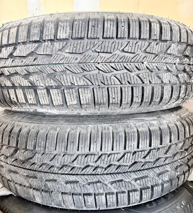 Winter Tires and Rims - 2022 - 2026 Ford Escape /Lincoln Corsair in Tires & Rims in Oakville / Halton Region - Image 2