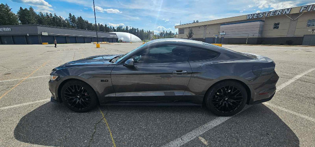 Must sell 2015 Mustang GT Premium in Cars & Trucks in Cranbrook - Image 4