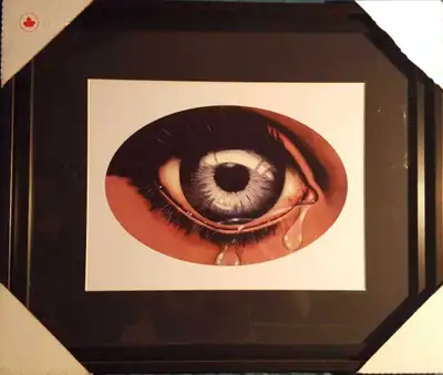 This striking framed eye print is sure to draw attention with its vivid detail and moody presentatio...