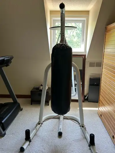 Century Free Standing Punching Bag with Speed Bag, View more