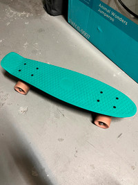 Penny board / skate board