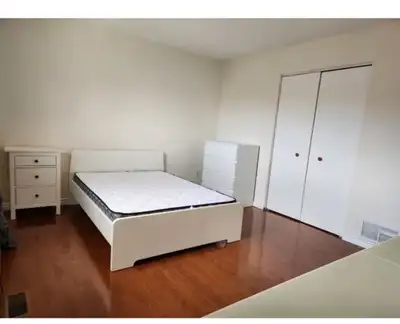 If you are working professional, clean and responsible, looking for a clean well-maintained house in...